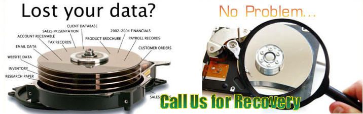 Data Recovery Service  in Lucknow